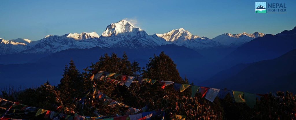 Ghorepani-Poon-Hill-Trek-8