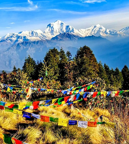 ghorepani-poon-hill-trek